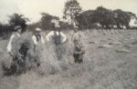 Left to right of the photograph: Eldon Wilkins, George W Edwards, Charles Ayers & ?Stone. Taken at the top end of Deopham Airfield. Photograph Cyril Edwards