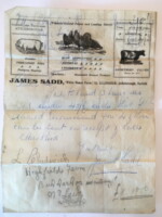 Bill Note dated June 18th, 1922. James Sadd of White House Farm, Great Ellingham. Author's own collection