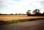 From Hingham Road looking towards the Church. Prior to development. Photograph taken 1990s
