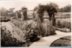 1938 School Garden 1938 
Pergola, perennial borders and enclosed strawberry bed. Courtesy Anne Cooper